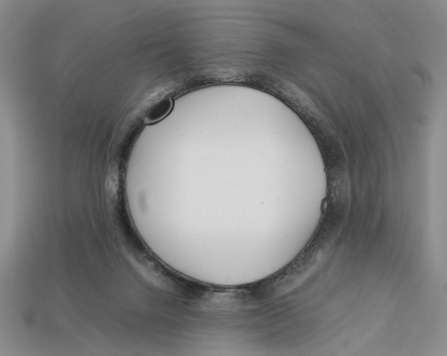 X0000113040072200909241443