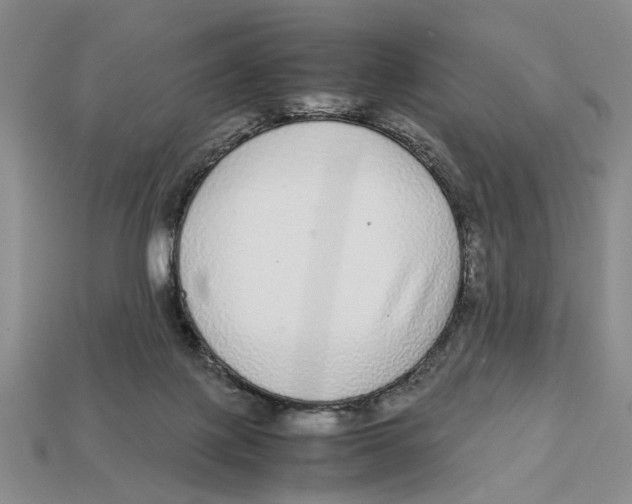 X0000113040075200909241443