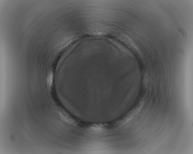 X0000113040076200909241443