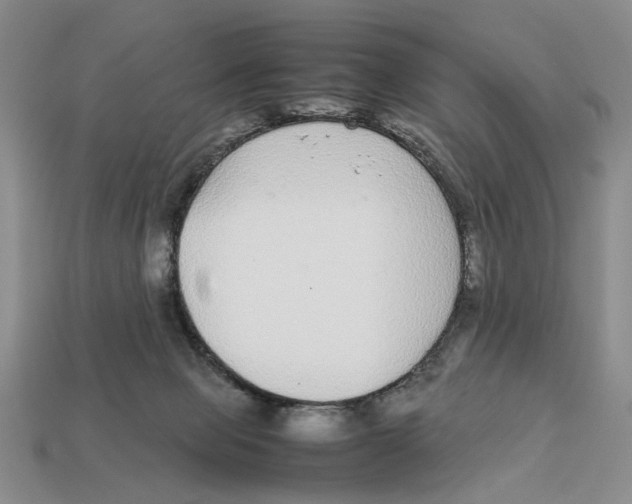 X0000113040077200909241443