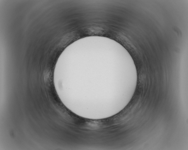 X0000113040079200909241443