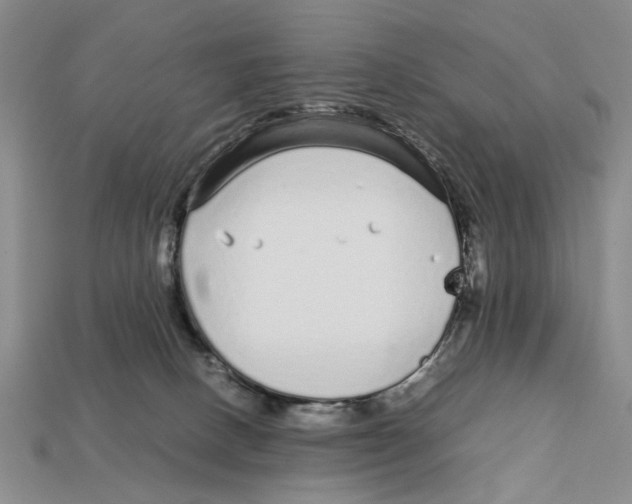 X0000113040082200909241443