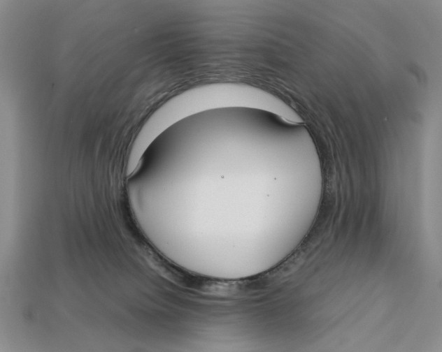X0000113040084200909241443