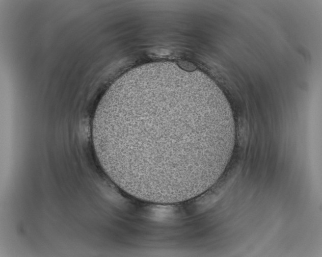 X0000113040085200909241443