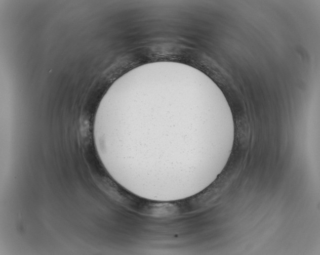X0000113040087200909241443