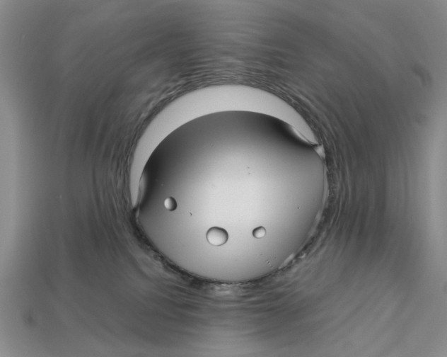 X0000113040088200909241443