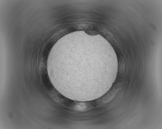 X0000113040091200909241443