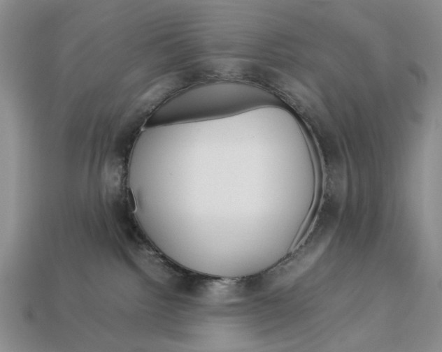 X0000113040092200909241443