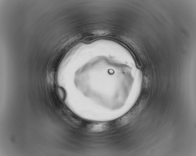 X0000113040093200909241443