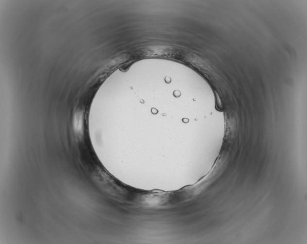 X0000113040094200909241443