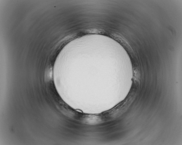 X0000113040095200909241443