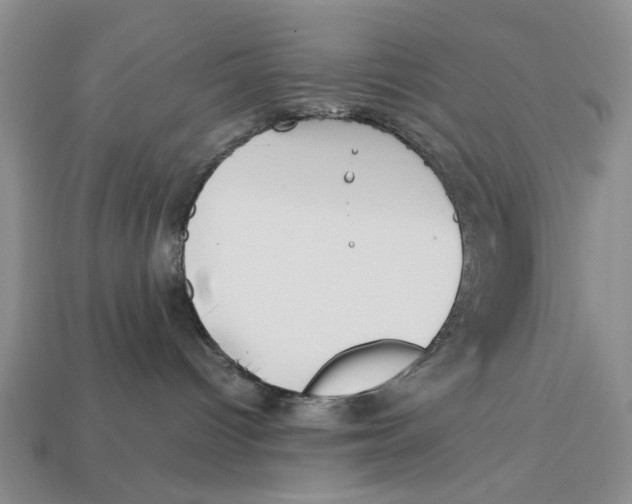 X0000113040096200909241443