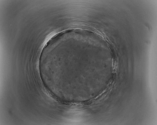X0000113040099200909241443