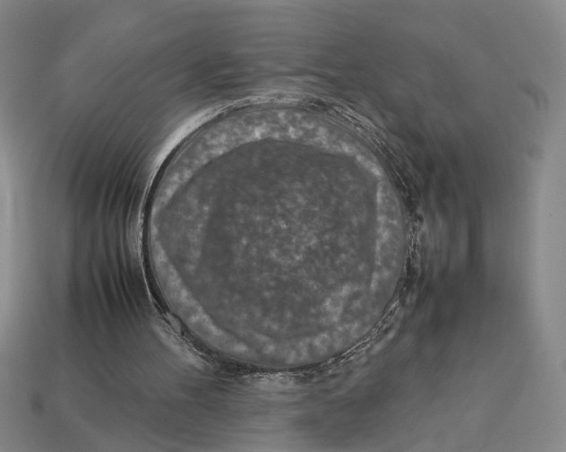 X0000113040100200909241443