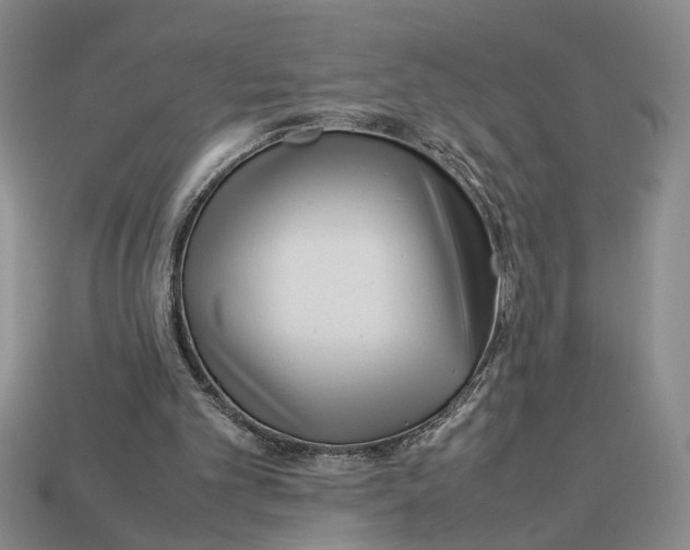 X0000113040101200909241443
