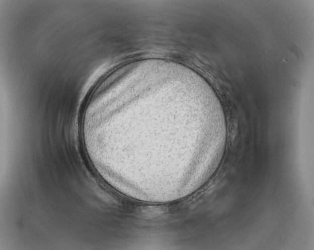 X0000113040102200909241443