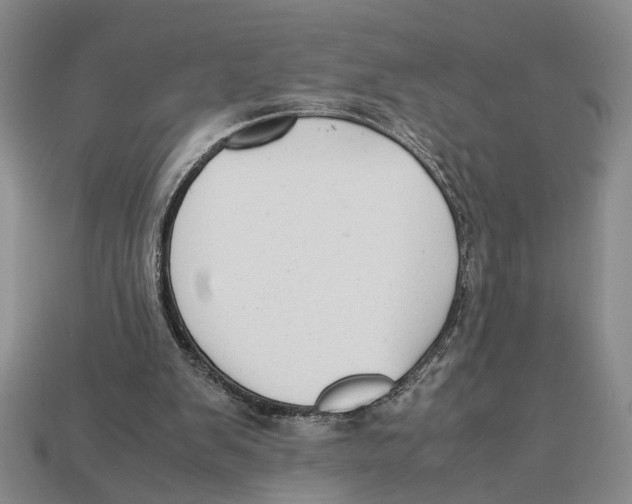 X0000113040103200909241443
