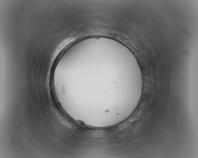 X0000113040104200909241443