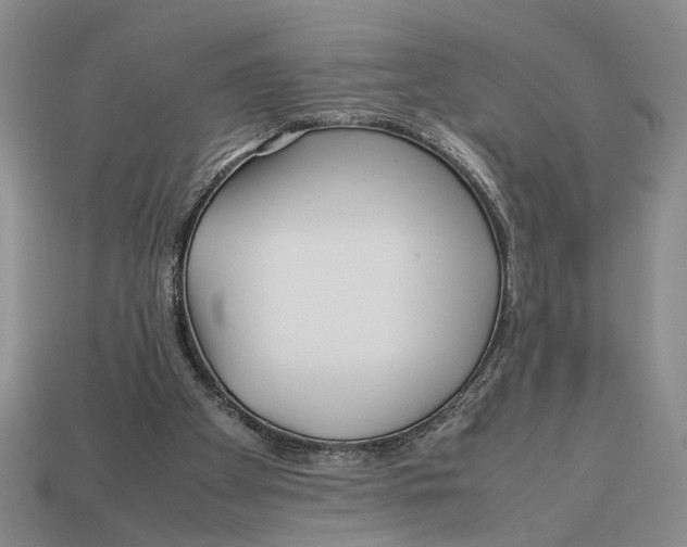 X0000113040105200909241443