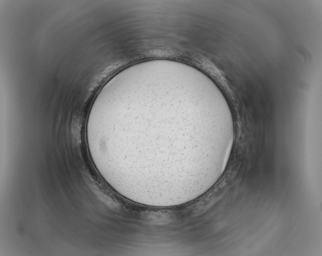 X0000113040106200909241443
