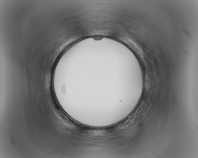 X0000113040107200909241443