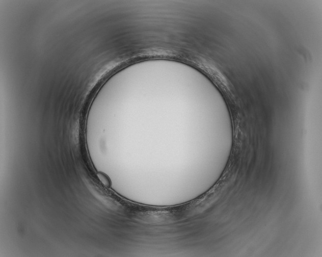 X0000113040108200909241443
