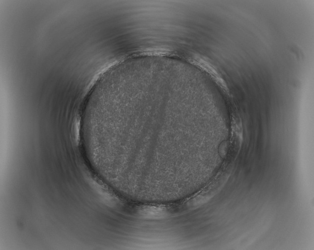 X0000113040110200909241443