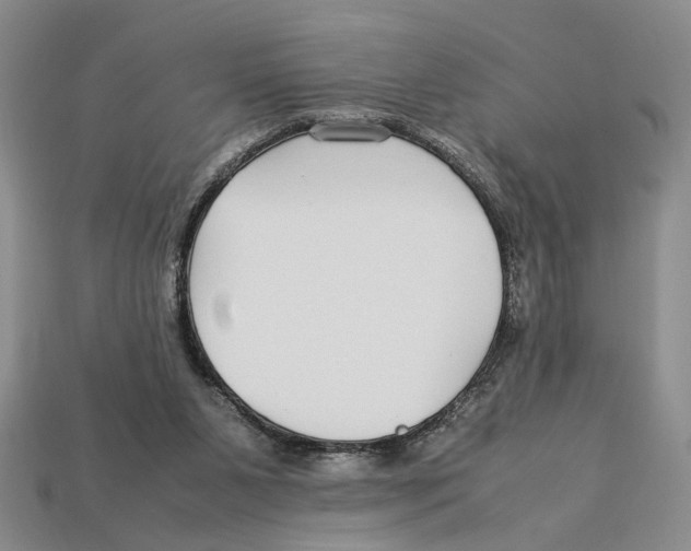 X0000113040111200909241443
