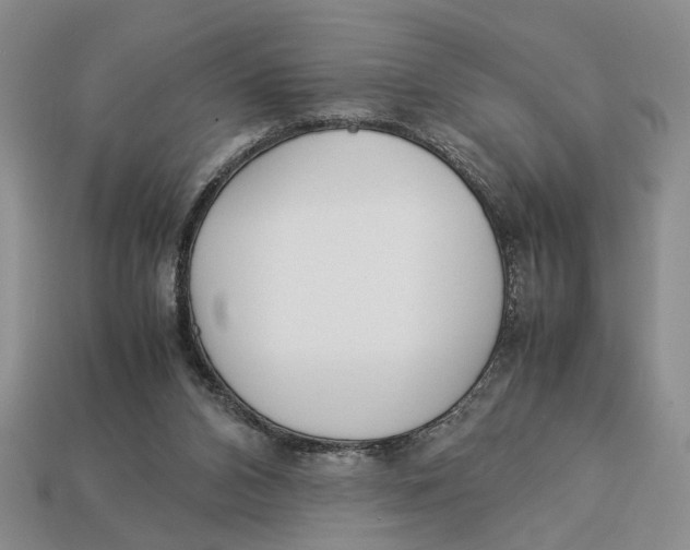 X0000113040112200909241442