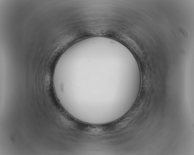 X0000113040113200909241442