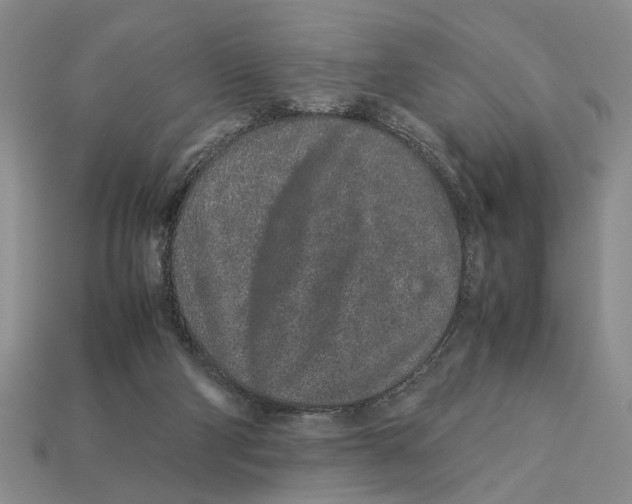 X0000113040114200909241442