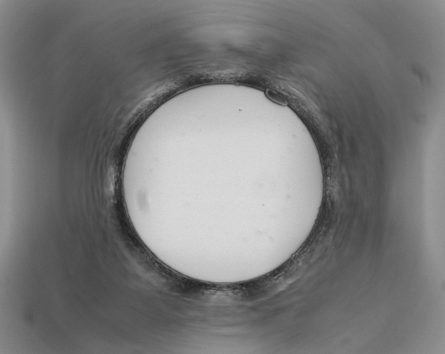 X0000113040115200909241442