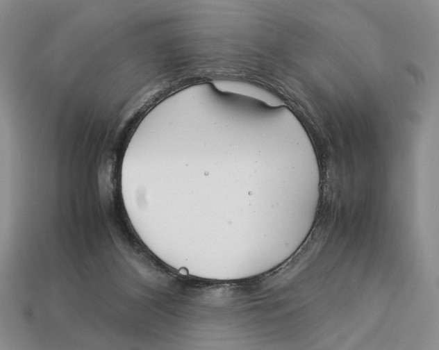 X0000113040116200909241442