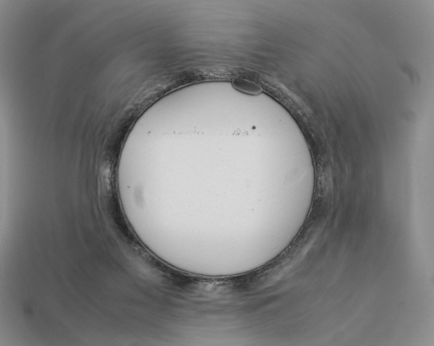 X0000113040117200909241442
