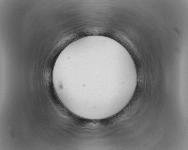 X0000113040119200909241442