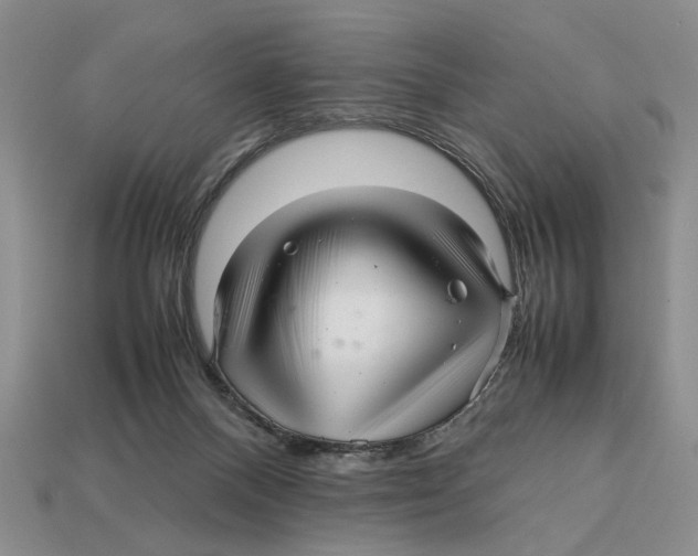 X0000113040120200909241442