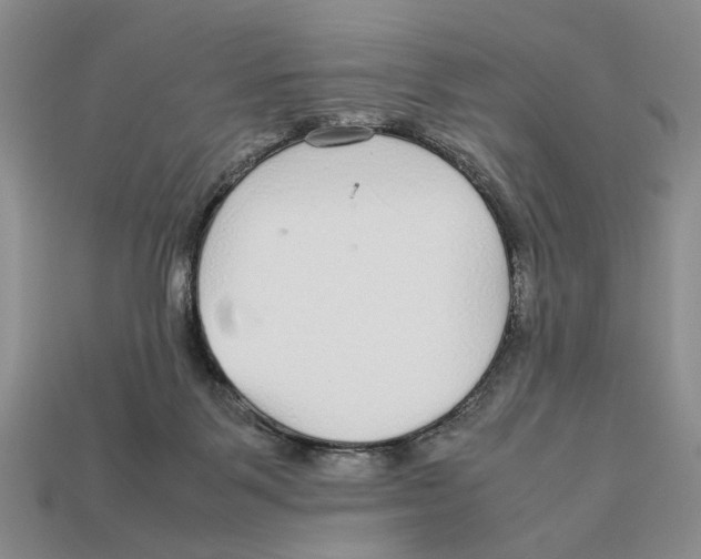 X0000113040123200909241442
