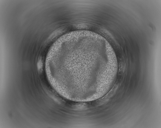 X0000113040124200909241442