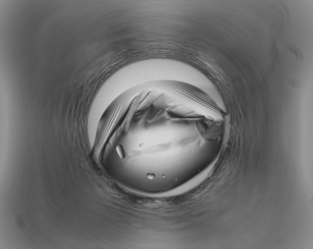 X0000113040125200909241442