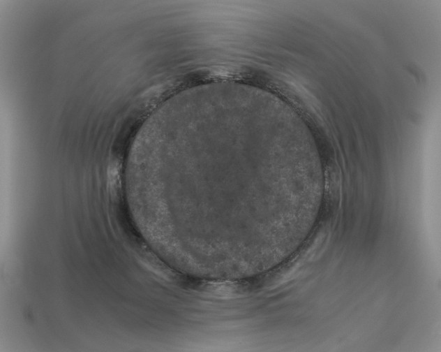 X0000113040127200909241442