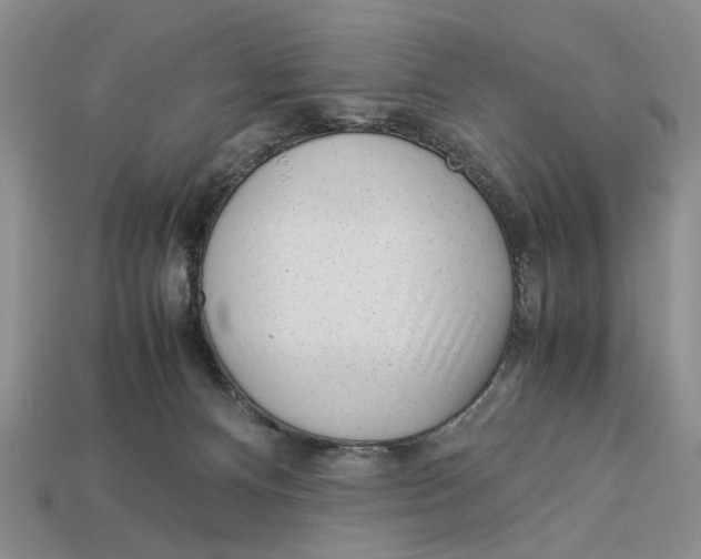 X0000113040128200909241442