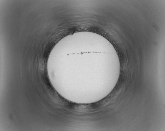 X0000113040129200909241442