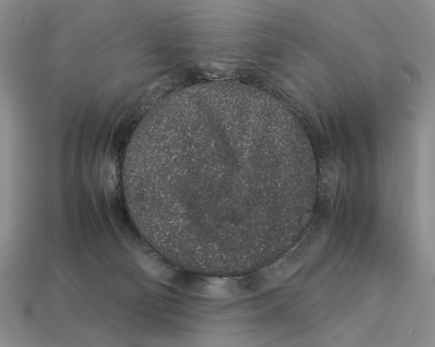 X0000113040130200909241442