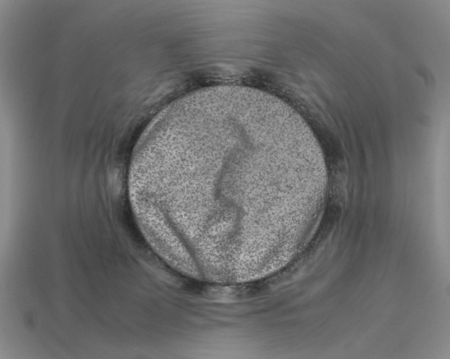 X0000113040131200909241442