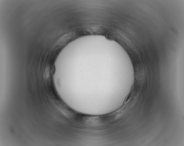 X0000113040132200909241442