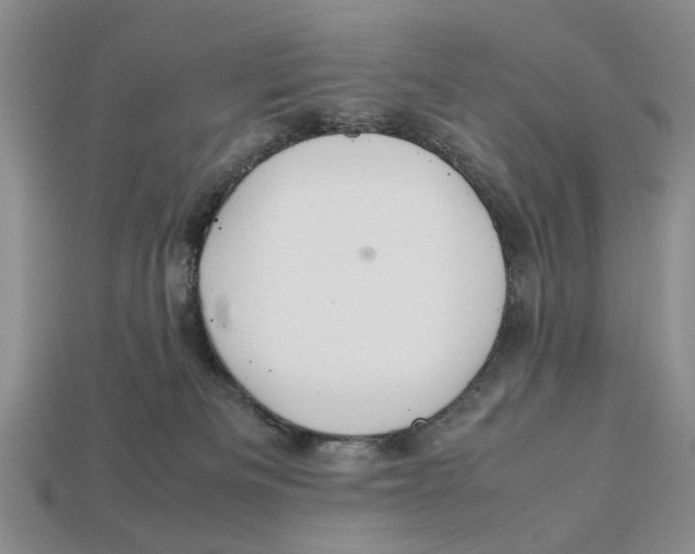 X0000113040133200909241442