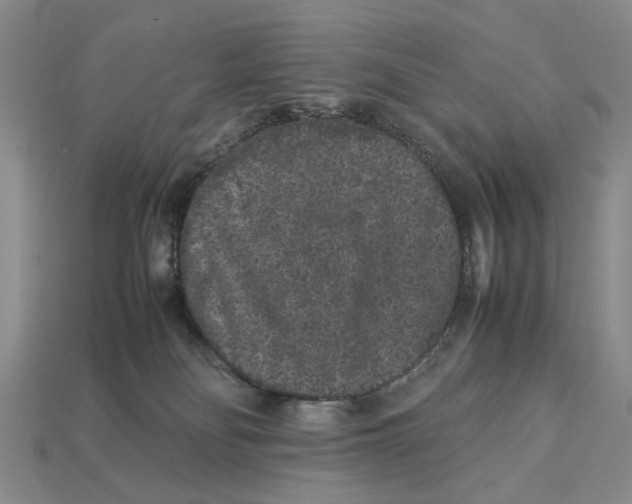 X0000113040134200909241442