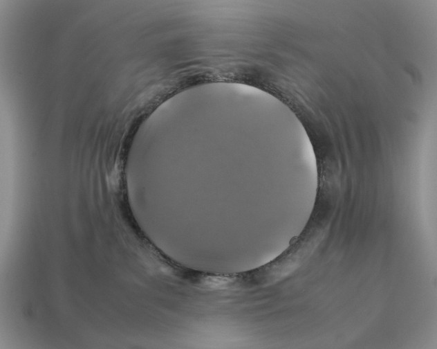 X0000113040139200909241442