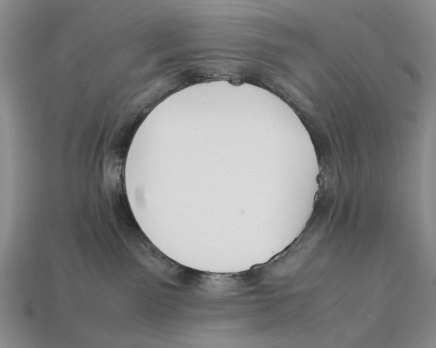 X0000113040141200909241442
