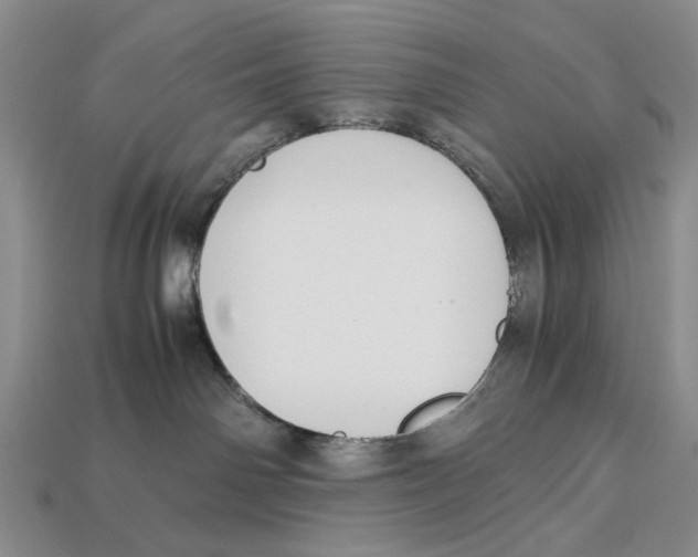 X0000113040142200909241442